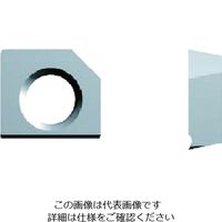 富士元工業 富士元 インサート AC16N SP-SPET040102 1セット(12個) 194-7851（直送品）