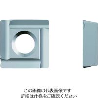 富士元工業 富士元 インサート AC16N SPET06T104 1セット(12個) 194-7853（直送品）