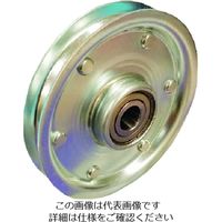 イースタン精工（ESK） イースタン プーリー1294 PULLEY-1294 1個 195-1099（直送品）