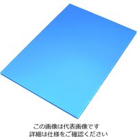 国盛化学 住化 プラダン サンプライHP30050 3×6板ライトブルー HP30050-LB 9101820 1枚 204-9574（直送品）