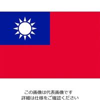 東京製旗 国旗No.2(90×135cm) 台湾 426403 1枚 207-3776（直送品）