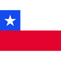 東京製旗 国旗No.2(90×135cm) チリ 426427 1枚 207-3816（直送品）