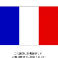 東京製旗 国旗No.1(70×105cm) フランス 416647 1枚 207-3708（直送品）