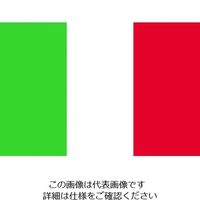 東京製旗 国旗No.2(90×135cm) イタリア 426125 1枚 207-3785（直送品）