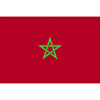 東京製旗 国旗No.2(90×135cm) モロッコ 426786 1枚 207-3843（直送品）