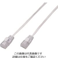 朝日電器 ELPA CAT6フラット1M LAN-FT1010-W 1本 167-7595（直送品）