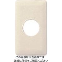 パナソニック Panasonic フルカラーモダン埋込コンプレート・W WN6053W 1セット(10個) 157-9911（直送品）