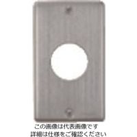 パナソニック Panasonic フルカラー新金属コンセントプレート WN9513 1セット(10個) 158-1535（直送品）