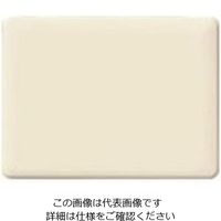 パナソニック Panasonic フルカラーモダンカバープレート3連・W WN6093W 1個 158-9350（直送品）