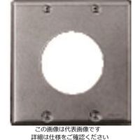 パナソニック Panasonic フルカラー新金属φ58コンセントプレート WN9515 1セット(5個) 157-8373（直送品）