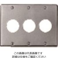 パナソニック Panasonic フルカラー新金属コンセントプレート3連 WN9533 1セット(5個) 158-9402（直送品）