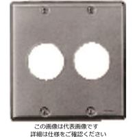 パナソニック Panasonic フルカラー新金属コンセントプレート2連 WN9523 1セット(5個) 158-1518（直送品）