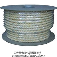 ^JCN [v KP[vh 16×1m KP-16 1Zbg(100m:1m×100m) 113-3866iij