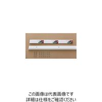 清水 シミズ ESラック レール 600(615) SA-ESR600 1本(1個) 218-4147（直送品）