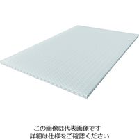 岐阜プラスチック工業 リス テクセル5mm樹脂板 633725 TECCELL樹脂製中空ナチュラル450X600 T5-450X600 1枚（直送品）