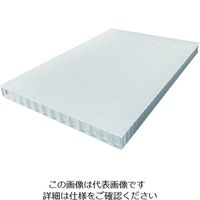 岐阜プラスチック工業 リス テクセル20mm樹脂板 633787 TECCELL樹脂製中空ボードナチュラル450X600 T20-450X600 1枚（直送品）