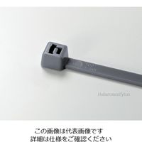 ヘラマンタイトン カラータイ 幅2.5×長さ100mm 屋内使用 (1000本) グレー T18R-GRY 1袋(1000本) 850-3885（直送品）