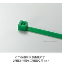ヘラマンタイトン カラータイ 幅4.6×長さ202mm 屋内使用 (100本入) T50R-GRN 1袋(100本) 850-3941（直送品）