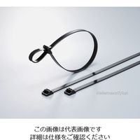 ヘラマンタイトン ラッシングタイ RT250タイプ 幅12.5×長さ880mm RT250L-W 1袋(25本) 850-3835（直送品）