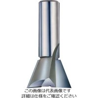 大見工業 大日商 超硬アリギリ A1D 1本 123-3371（直送品）