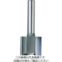 大見工業 大日商 ストレートトリマー STR18 1本 123-3369（直送品）