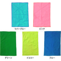 東レ トレシー タオル式厚手ワイパー リバーブルー 200mm×310mm D2031-ME2ZK-G172-10P 1袋(10枚)（直送品）