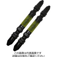 兼古製作所(ANEX) 黒龍靭ビット タフ 2本組 +2×65mm マグネット付き ABRMー2065 ABRM-2065（直送品）