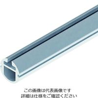 ダイケン（DAIKEN） ダイケン マテハンパイプレール MTC レール L2000 MTC-HR2 1本 194-9027（直送品）