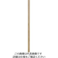 アサヒペン JOINTーLOCK用 段差見切り材 35×915×7 DMー03 172761 1セット(10本) 216-1283（直送品）