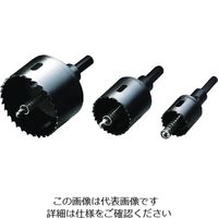 ハウスビーエム ハウスB.M バイメタルホルソー BMH-100 1本 161-7637（直送品）