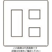 パナソニック Panasonic フルカラー新金属プレート2型5コ用 WN6505K 1個 158-9383（直送品）