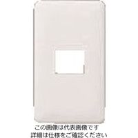 パナソニック Panasonic フルカラーモダンプレート1コ用 WN6001SW 1セット(10個) 159-4107（直送品）