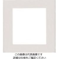 パナソニック Panasonic ミニスイッチプレート WT8071W 1セット(10個) 159-2586（直送品）