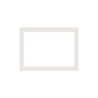 パナソニック Panasonic コスモシリーズプレート(3連接穴用) WT8133W 1個 157-3503（直送品）