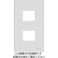 パナソニック Panasonic コスモシリーズコンセントプレート2コ用 WTF8002W 1セット(10個) 159-7241（直送品）