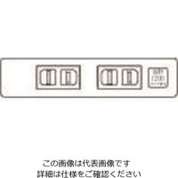 パナソニック Panasonic 家具用ミニWコンセントチョコ WF2039AK 1セット(10個) 158-0049（直送品）