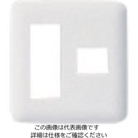 パナソニック Panasonic ワイド21コンセントプレート3コ+1コ用 WTF7074W 1セット(10個) 159-0848（直送品）