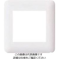 パナソニック Panasonic ワイド21コンセントP簡易耐火2連接穴 WTF7570W 1セット(10個) 157-5200（直送品）