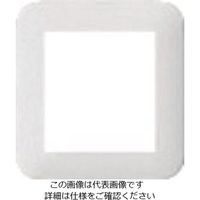 パナソニック Panasonic ワイド21ミニスイッチプレート WTC7071W 1セット(10個) 157-6700（直送品）