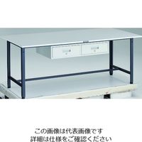 TRUSCO 軽荷重作業台(300kg)AE型 1800X900XH740 2列引出し付 ダークグレー色 RAE-1809FL2 DG 1台（直送品）