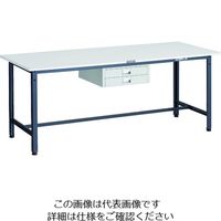 TRUSCO y׏dƑ(300kg)AE^ 1800X750XH740 ^2iot _[NO[F AE-1800UDC2 DGiij