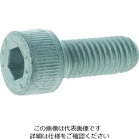 TRUSCO 14.9超強度六角穴付ボルト スチール・デルタプロテクト 全ねじ M10X25 4本入 Y149D-1025 1パック(4本)（直送品）