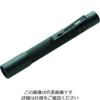 嵯峨電機工業 saga ストロングライト 13w 防雨型 ハンド・取付兼用 SL