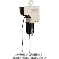 スリーエッチ（H.H.H.） HHH 電気チェーンブロック ES250