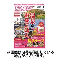 TJカゴシマ 2025/03/19発売号から1年(12冊)(雑誌)（直送品）