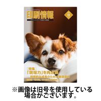 印刷情報 2025/03/01発売号から1年(12冊)(雑誌)（直送品）