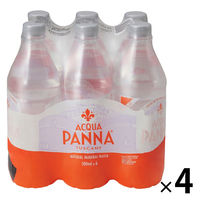 アクアパンナ 500ml 1箱（24本入）