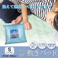 【並行輸入品】iiもの本舗 吸水速乾 敷パッド ライトグリーン 約100×200cm 1袋（1枚入）
