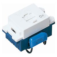 パナソニック アドバンスS埋込C付テレホンモジュラ WN4624CWK 1個（直送品）