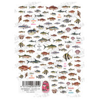TSUMEKIRA(ツメキラ) ネイルシール DAISY プロデュース fish colorful NN-DAI-026 1セット(3枚)（直送品）